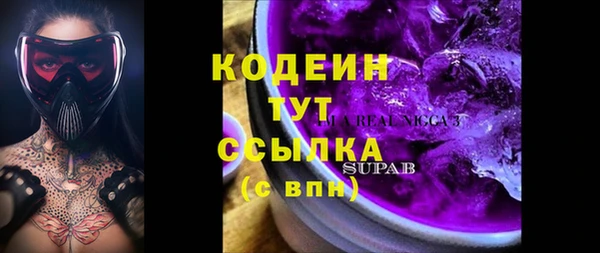 соль ск Белокуриха