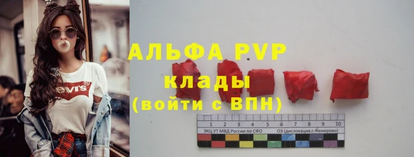 соль ск Белокуриха