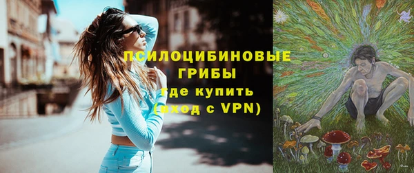 соль ск Белокуриха